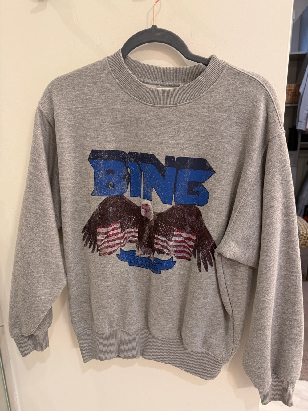 Anine bing sweatshirt size small